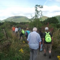 Wee County-Walkers