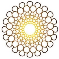 SHAMEER MUHAMMED FCMA