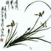 步雨中