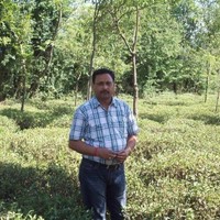 Rajesh Saxena