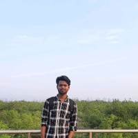 Md Ariful Alam