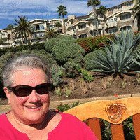Donna Lambert