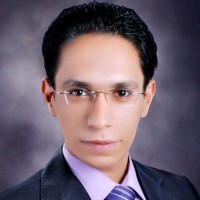 Mohamed Abdelfatah Abdelsamad