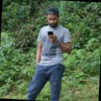 Ansar V.I