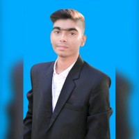Daman Singh Rajput