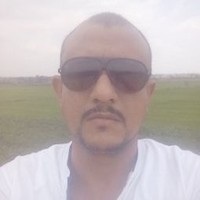 محمود موسى