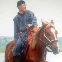巴雅尔图