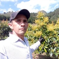 Nemias Ramos Quintero