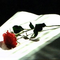 Osama Yassin
