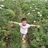 Roby Hartono
