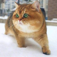 李一飞