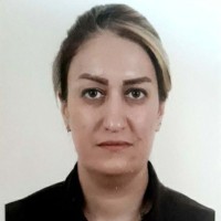 sepideh hosseininaghavi