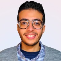 Salah El-Din Ibrahim