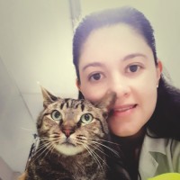 Valeria Gomezjurado Benítez