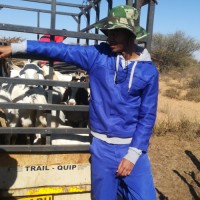 Oageng sethibe