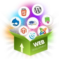 MobileApp Developer