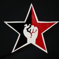 Comrade Spartacus