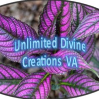 Gaby'S Unlimited Divine Creations Virtual Assistant