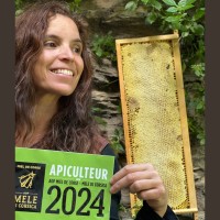 Marlène Hahusseau 🐝