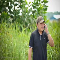 Stephen Ting