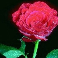 Azeem Uddin