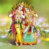 Mehul Mor