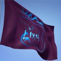 Handicapped Scuba Association South Africa