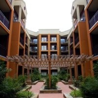 Alexander at the District