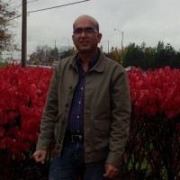 Syed Ali