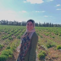 Aya Ahmed