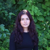 Arezo Rahmani