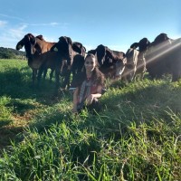 Taynara Capaldi dos Santos