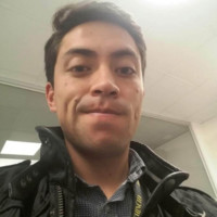 David Andrade Araujo
