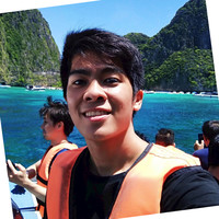 Nguyen Phi Anh