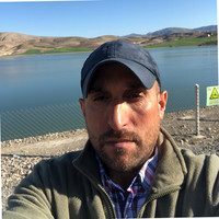 Aydın Bulut