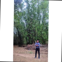 Chandra Mohan Hansdah