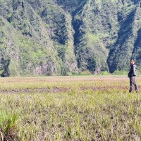 Fajar Buyung Permadi