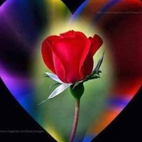 Ahmad Hamou