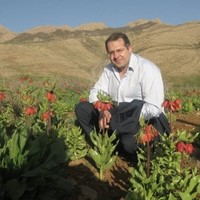 Alireza Naghshineh
