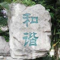 陈志敏