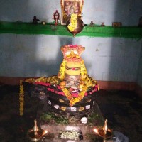 Nag Nagireddy