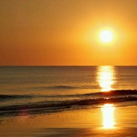 carla cisneros silvera