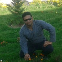 Mohamed Elmorshdy