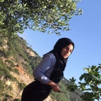 Nourhan Abdul Razzak