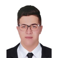 Mahmoud Fathy Rehan
