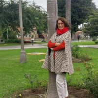 Carmen Rosa Silva Sarmiento, PMP