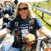 Cindy Creech