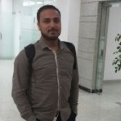 Elsayed Hamed