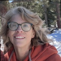 Sapphire Sun Hort, LADAC