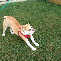 Christony Huang
